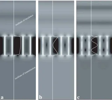 Figure 10 show the distributions of |hz| 2 for two in-plane modes in the case of a silver coaxial waveguide