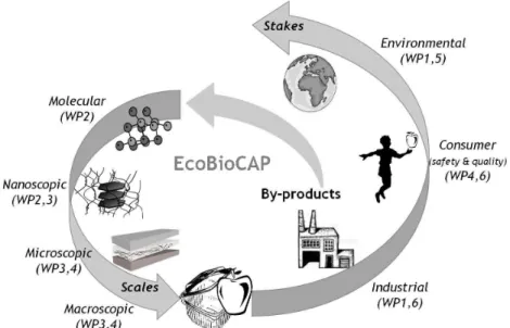 Figure 1: The EcoBioCap project.