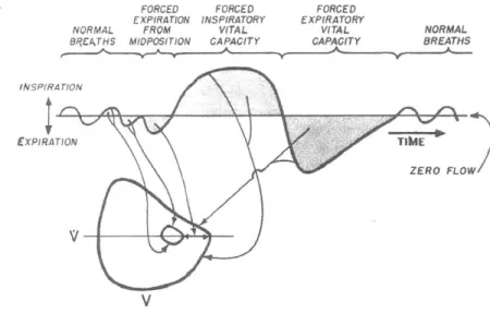 Figure  2-3:  The  shape  of  inhalation  and  exhalation  processes  from  a pneumatogram [221