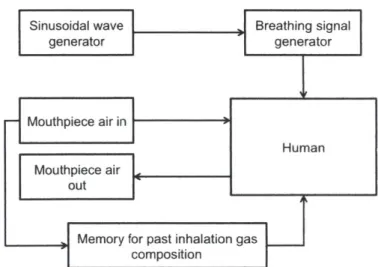 Figure  2-6:  The  human  module  implemented  in the  rebreather  analytical  model mouthpiece  inhalation,  creates  the  exhaled  gas  and determines  its composition,  using Table  2.2