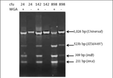 FIGURE 3 | Sensitivity of the detection of Salmonella from surface extract of lettuce (25 g) exposed to varying numbers of colony forming unit (cfu) incubated for 3.5 h before extracting surface contaminants