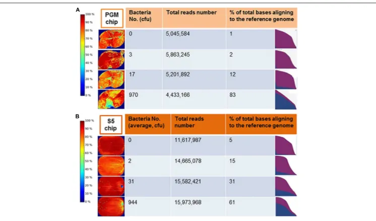 FIGURE 5 | Display of the Ion Torrent (A) Personal Genome Machine (PGM) server after the completion of sequencing runs for an non-spiked lettuce sample (0 colony forming unit, cfu) compared to samples contaminated with 3, 17, or 970 cfu of salmonella Typhi