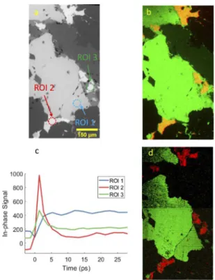 Fig. 5. An area about 0.5 × 1.5 mm of a polished thin section of gold-ore containing sulfide minerals was imaged by SEM-EDS and reflection pump-probe over a total of 40 ps inter pulse delay