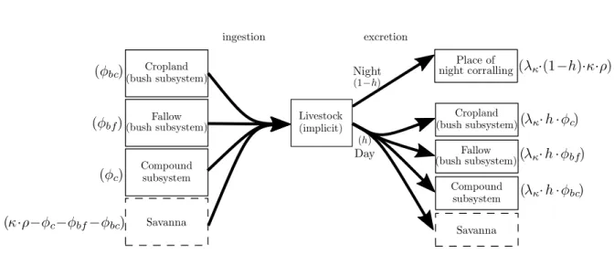 Figure 1.5 – Representation of livestock-induced nitrogen fluxes. For the sake of simplicity, only one cropland subunit and one fallow subunit of the bush subsystem are represented