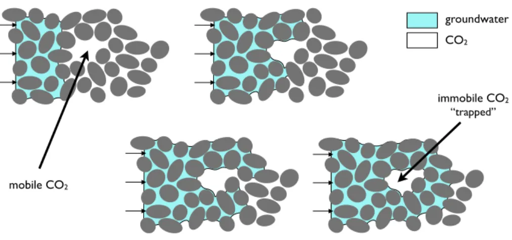 Figure 1-2: Capillary trapping occurs as the non-wetting fluid (here, CO 2 ) is displaced from the pore space by the wetting fluid (here, groundwater), and leads to small, disconnected regions of non-wetting fluid dispersed throughout the region from which