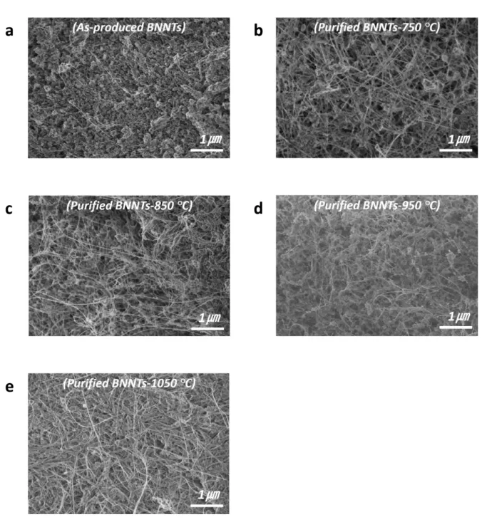 Figure  S2.  SEM  images  of  the  BNNT  samples  showing  (a)  ap-BNNTs  and  (b-e)  BNNTs  purified at 750 °C, 850 °C, 950 °C and 1050 °C, respectively