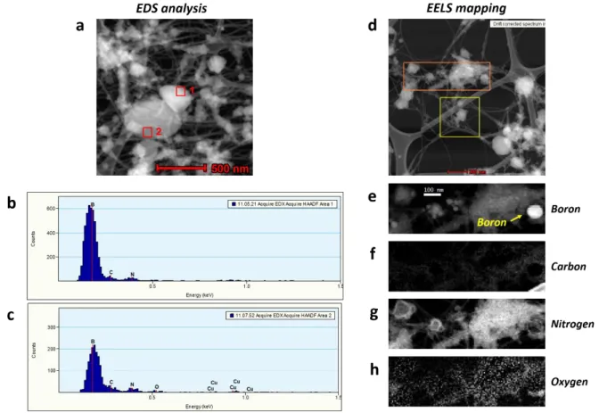 Figure S4. EDS analysis data and EELS mapping data of encapsulated boron in ap-BNNTs. 