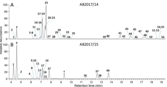 Figure 6. LC–HRMS full scan extracted ion chromatograms (3.8–19.4 min, positive ionization mode) of extracts from (A) Microcystis culture AB2017/14 and (B) Microcystis culture AB2017/15