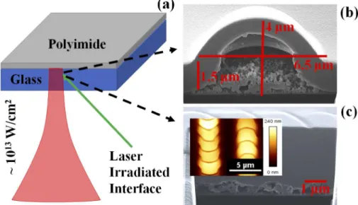 Fig. 1. (color online) (a) A schematic showing the interaction of a single laser pulse (a central wavelength of 800 nm with peak intensity ∼ 10 13 W/cm 2 ) focused at the  glass-polymer interface as shown by the green arrow