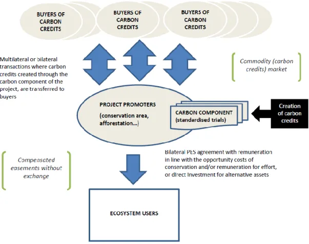 Figure  1:  Schematic  diagram  of  the  articulation  of  a  PES  component  and  the  carbon  credit  transactions compartment (REDD+ project type) 