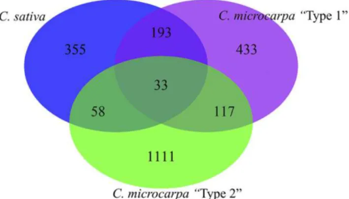 Figure 7 Venn diagram showing distribution of minor alleles in different species of Camelina.