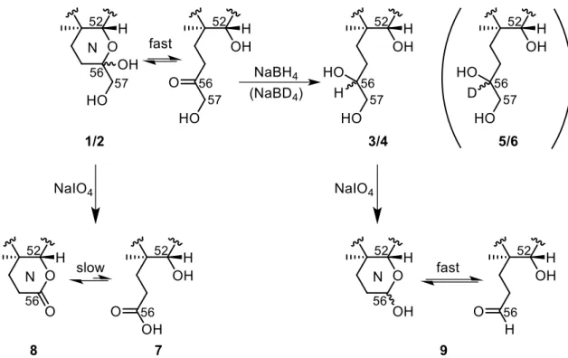 Figure 5. Scheme summarizing the reduction and oxidation reactions at the N-ring of C-CTX-1 / 2 (1/2) and -3 / 4 (3/4) following borohydride and periodate treatment