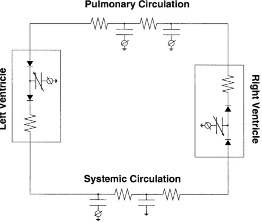 Figure  1-2:  Circuit-based  hemodynamic  model  [4]