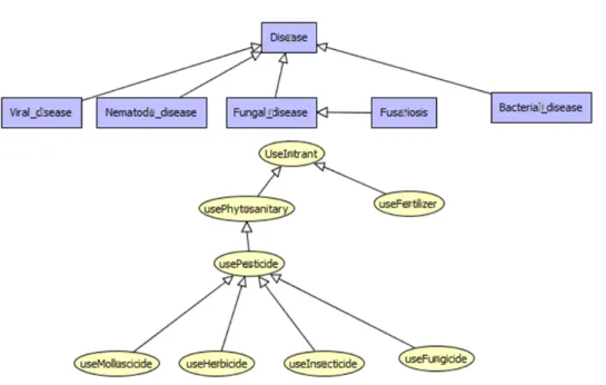 Fig. 4: Concept and relation types hierarchy.