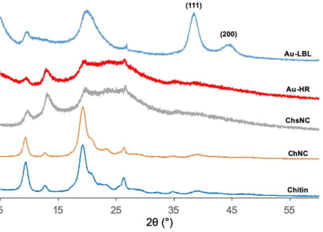 Figure S8: XRD spectra showing the powder XRD patterns of chitin, ChNC, and ChsNC  comparing with the two fabricated nanocatalysts Au@ChsNC-HR and Au@ChsNC-LBL
