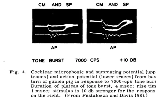 Fig.  4.  Cochlear  microphonic  and  summating  potential  (upper traces)  and  action  potential  (lower  traces)  from  basal turn  of  guinea  pig  in  response  to  7000-cps  tone  burst.