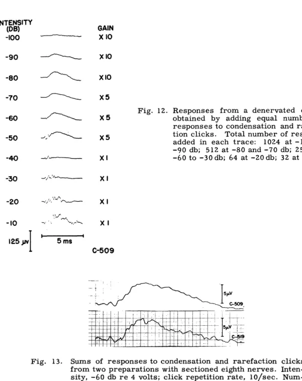 Fig.  12.  Responses  from  a  denervated  cochlea obtained  by  adding  equal  numbers  of responses  to  condensation  and   rarefac-tion  clicks