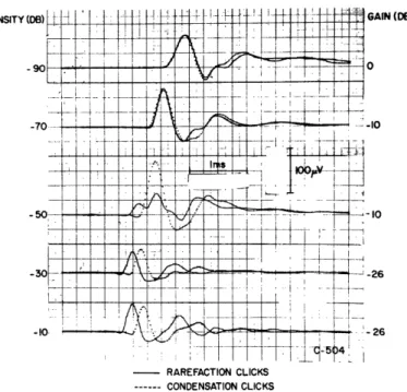 Fig.  22.  Averaged  responses  to  condensation  and  rarefaction clicks  (C-504).  Conditions  are  the  same  as  for  Fig