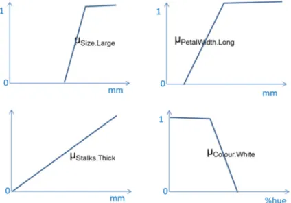Figure 6. Membership functions of the fuzzy sets Size.large, PetalWidth.Long, Stalks.Thick, and  Colour.White