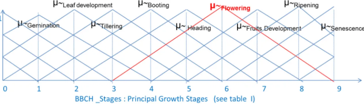 Figure 7. membership functions of the Fuzzy BBCH values (identified by ~prefix) defined on the  BBCH stages of the first level in Table 1