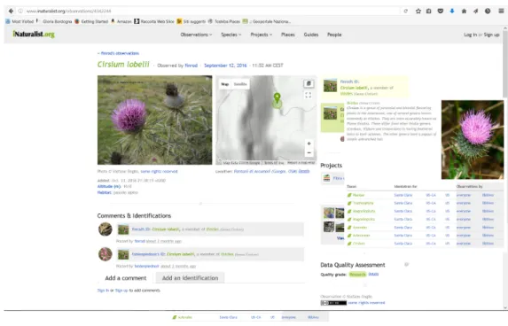 Figure 1. Screenshot of the inaturalist Web geoportal displaying a VGI in the form of a classified  picture (on the left), its geofootprint with associated imprecision (the circle on the map) and the  correspondent visual ontology item with complementary i