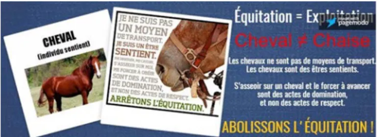 Illustration I : Exemple de message animaliste à l’encontre de l’équitation  Illustration I: Exemple of animalist message against equitation 