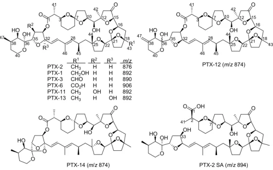 Fig. 2. Concentration-versus-time curves of PTX-2 (m/z 881) ( ▪ ), M1 (m/z 897)  ( � ) and M2 (m/z 897) ( ◦ ), determined by LC – MS during incubation of PTX-2  (1.4  μ g/mL) in primary rat hepatocytes