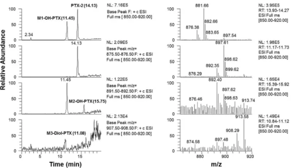 Fig. 4. LC-MS 2  chromatogram of monohydroxylated M1 indicating the presence of three isomeric OH-PTX-2 species with [M þ Na] þ ions at m/z 897 (left panel)