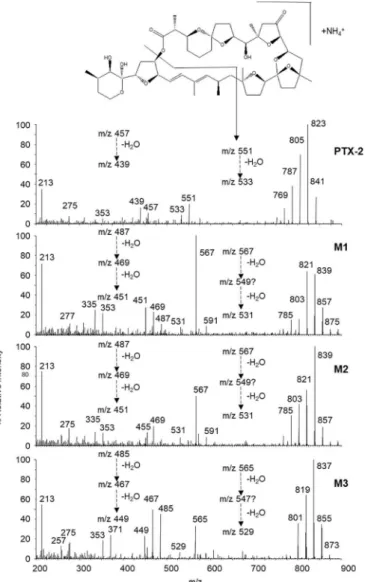 Fig. 5. Proposed fragmentations observed in positive MS/MS spectra of [M  þ NH 4 ] þ ions  from  PTX-2  and  the  PTX-2  metabolites  M1,  M2  and  M3  with  comparison of the fragmentation pathways