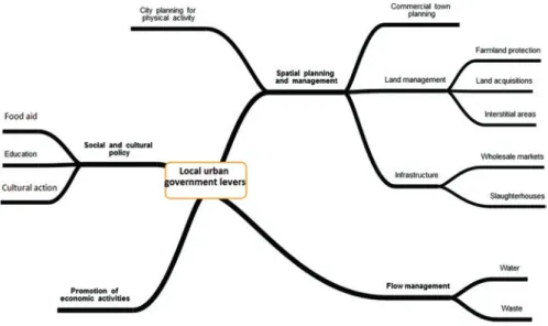 Fig. 1  Levers that local urban governments can deploy in support of agricultural and food  policies