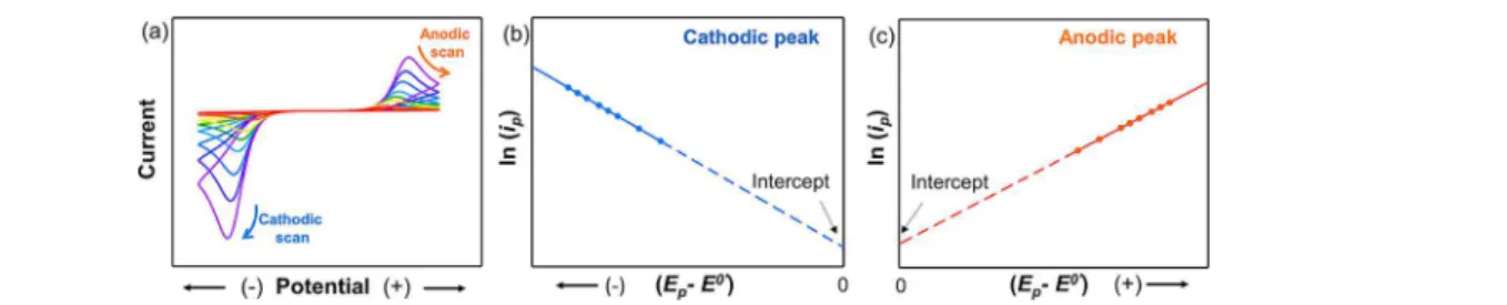 Figure 4. (a) Cyclic voltammetry for an irreversible system at di ﬀ erent scan rates. (b,c) Plots for ln( i p ) vs ( E p − E 0 ′) for both cathodic and anodic peaks, provided that E 0 ′ is known for the studied system.