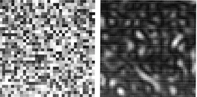 Figure  4-2:  One  realization  of  a  pseLdorandom  phase  pattern  cast  on  an  SLM  and  resulting calculated  far-field  intensity  pattern.