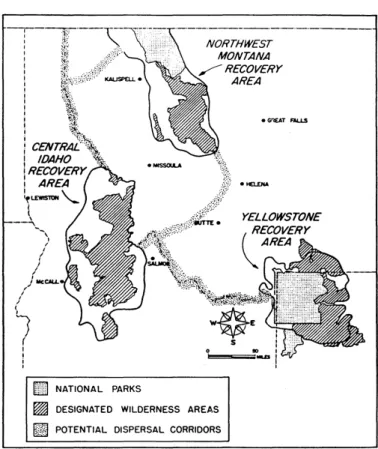 Figure  2  –  Les  3  aires  de  restauration  (recovery  areas)  du  Northern  Rocky Mountain Wolf Recovery Plan de 1987, page 43