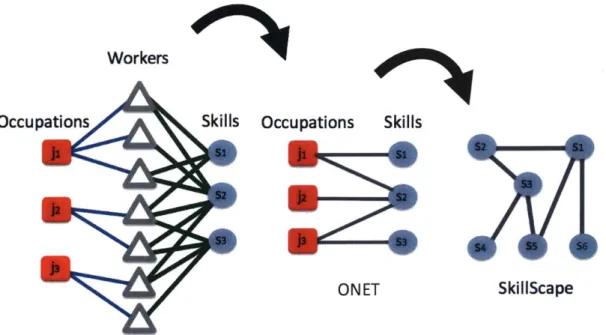 Figure  3-2:  An  occupation  is  identified  through  the  skills  of  workers  of  that  occu- occu-pation