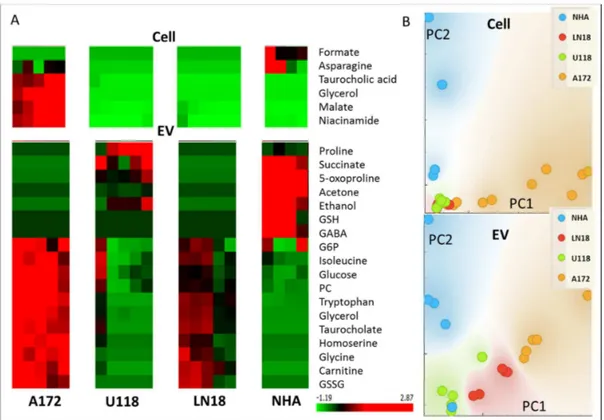 Figure 5. (A) ANOVA selection of the most di ff erent metabolites between cell four cell types in cells and EV extracts