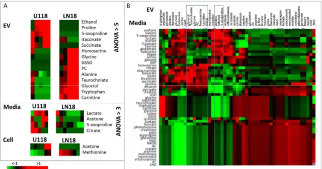 Figure 6. (A) ANOVA analysis of major metabolic di ff erences between EVs, media and cells for LN18 and U118 lines
