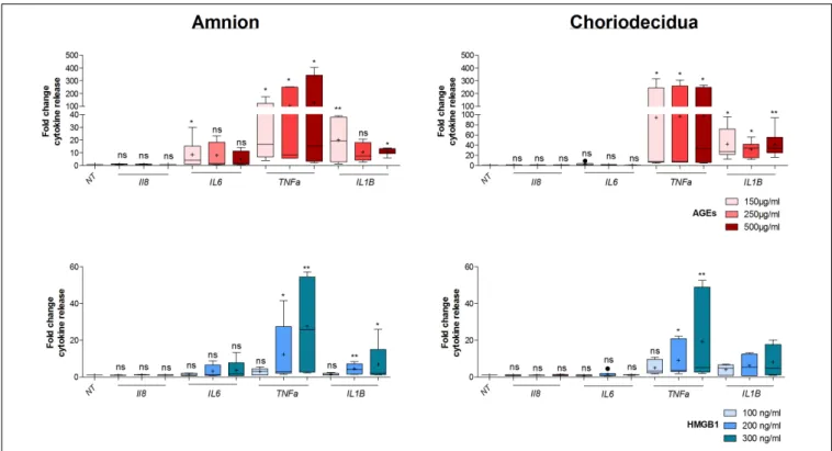 FIGURE 5 | Dose response effect on cytokine release by AGEs and HMGB1 into fetal membrane explants