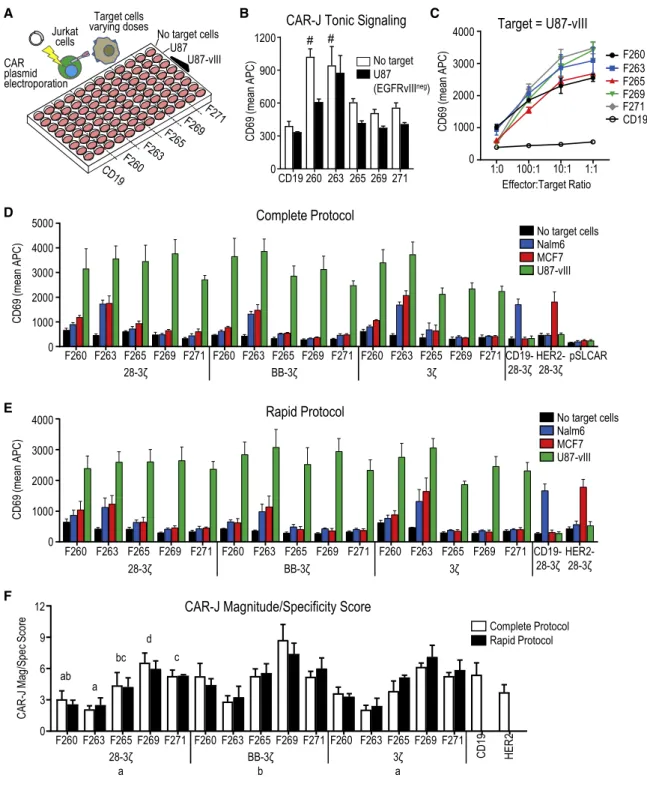 Figure 2. CAR-J Allows Short-Listing of Candidate scFv Sequences