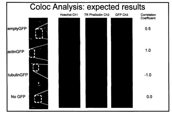 Figure 8  Expected  correlation  coefficient  values for control constructs.  Single cell images  were  captured  on Cellomics  vHCS:Scan  at 20x and cropped