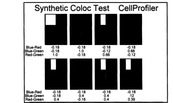 Figure  11  CellProfiler  analysis of synthetic colocalization  data. Yellow  indicates red  and green  overlap.