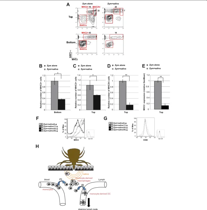 Figure 3 In vitro characterization of the dual immunosuppressive effect of tick saliva on inflammatory-induced mobilization of monocyte-derived mononuclear phagocytes