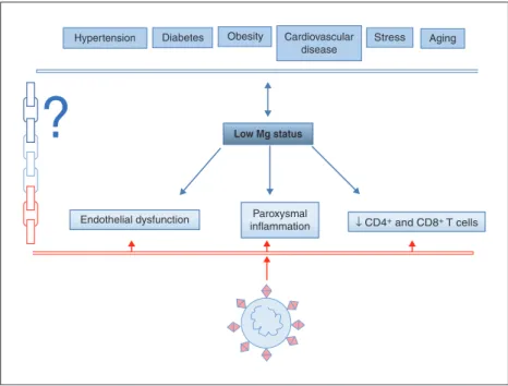 Figure 2. Potential role of low Mg status in COVID-19.