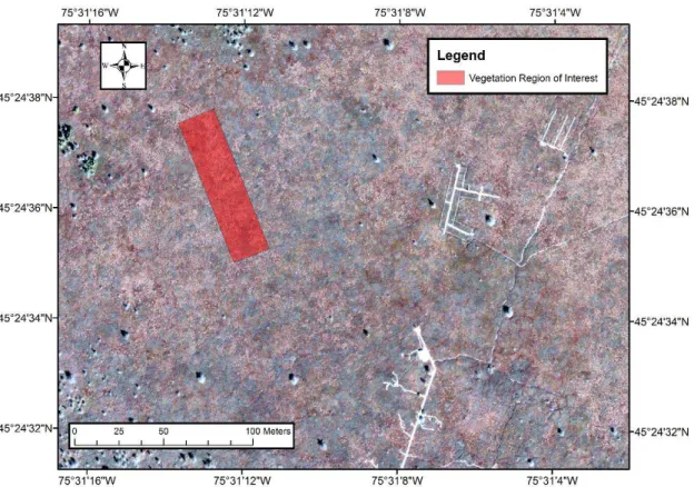 Figure 4. The vegetation region of interest selected from the Mer Bleue Peatland. The region of interest is characterized by a hummock-hollow microtopography that corresponds to small scale patterns (2–4 m) in surface vegetation and surface reflectance