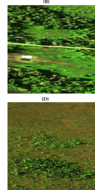 Figure 11. Hyperspectral imaging data over the Mer Bleue Peatland before and after the application of the deconvolution algorithm