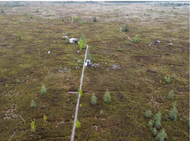 Figure 1. Unmanned aerial vehicle photograph of the Mer Bleue Peatland in Ottawa, Ontario, Canada