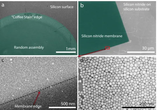 Figure 1. SEM images of self-assembly of nanoparticles. (a) Green color (false-color) represents the nanoparticle deposition on the silicon surface