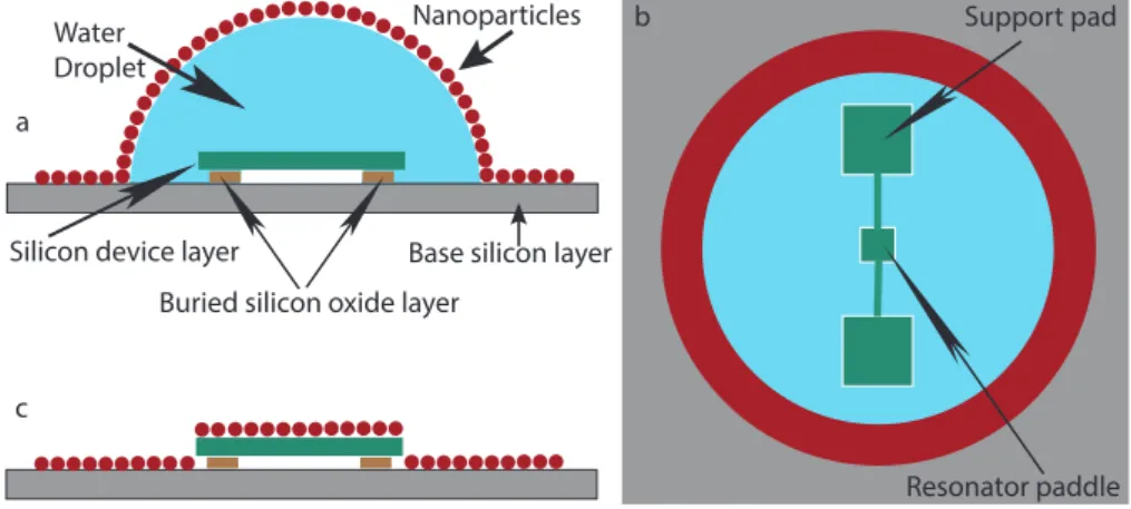Figure 2. Schematic of self-assembly of nanoparticles (not to scale). (a) Side view schematic of nanoparticle deposition