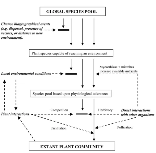 Fig. 4 The main processes (filters) that structure a plant community. The concept of successive  filtering propose that a community is determined by synergistic interactions among (i) stochastic  processes,  (ii)  the  specific  tolerances  of  species  to