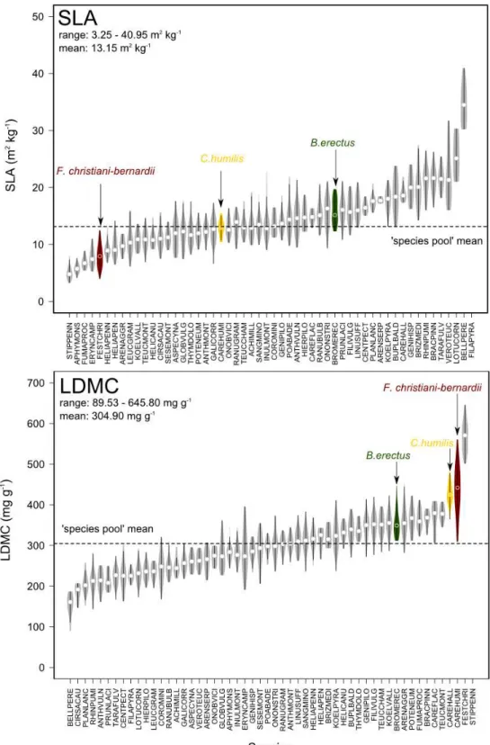Fig. 5: Extent of inter- and intraspecific variability of specific leaf area (SLA) and leaf dry matter  (LDMC)  across  the  53  species  for  which  data  trait  are  available