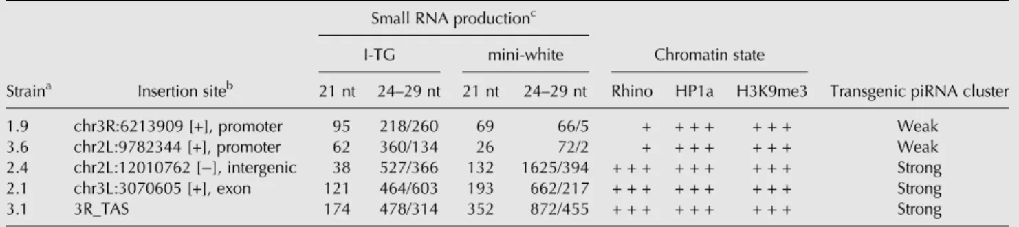 TABLE 1. Characteristics of weak and strong transgenic piRNA clusters: small RNA production and chromatin state